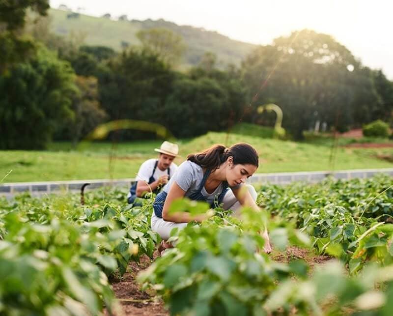 Research & Innovation