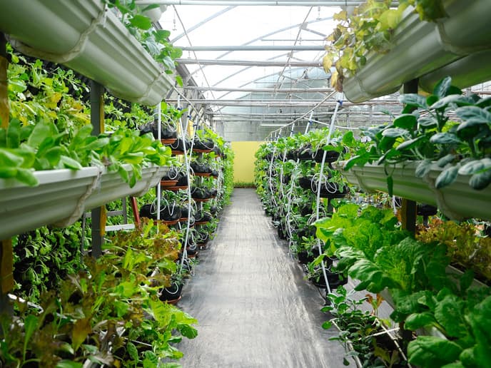 Smart Precision Farming